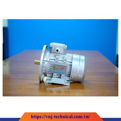 Motor 3 pha chính hãng MSB5 632-4P-0.18KW